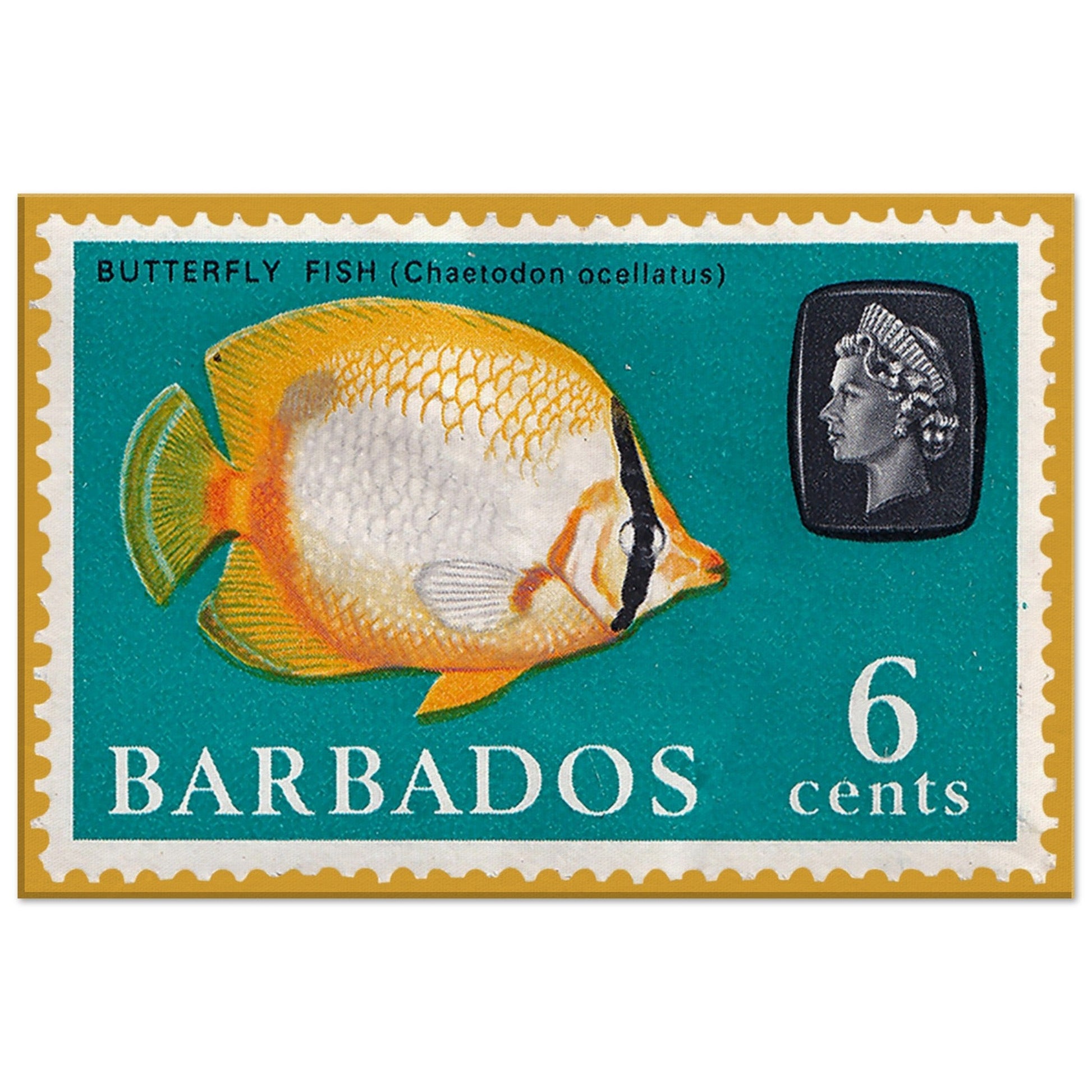 Butterfly Fish Barbados 1965 Yellow Canvas Print Material