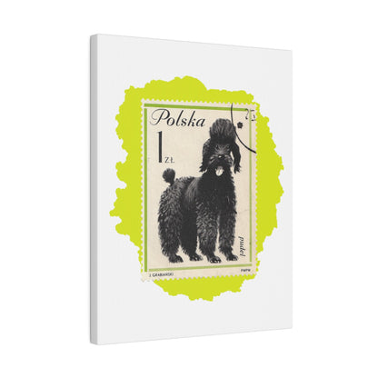 Poodle Stampart Matte Canvas 11 X 14 (Vertical) / 0.75