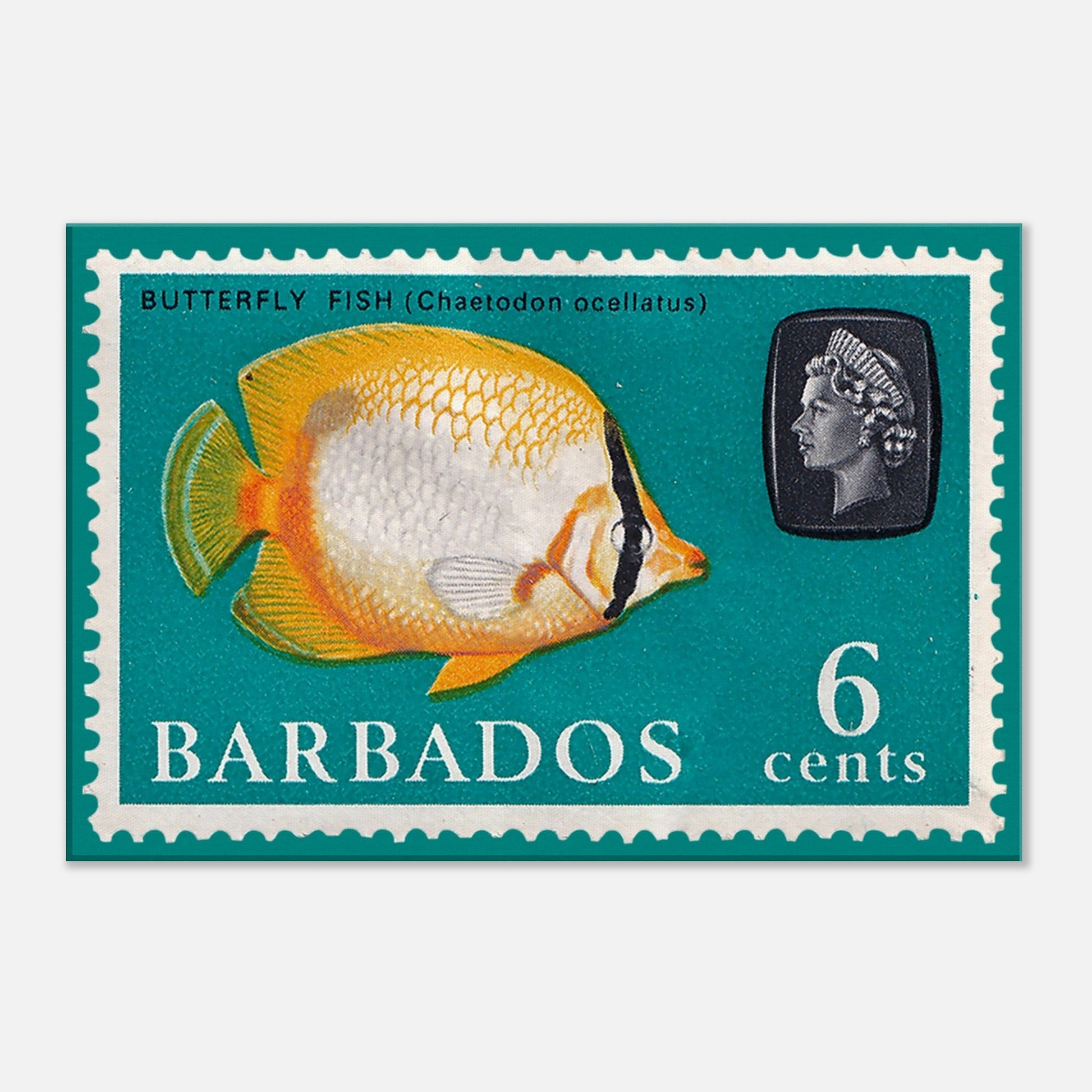 Butterfly Fish Barbados 1965 Turquoise Canvas Print Material