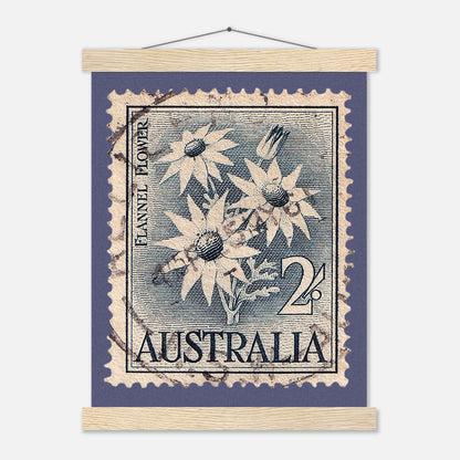 Flannel Plant Australia 1960 Poster Print Material