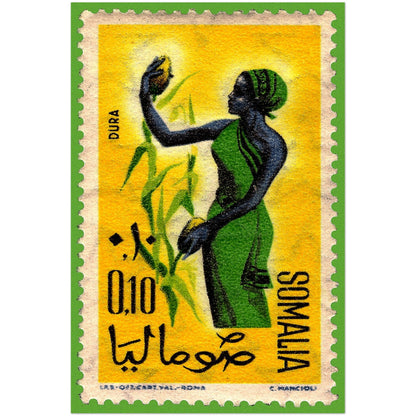 Woman And Dura Plant Somalia 1961 Poster Print Material