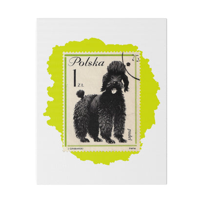 Poodle Stampart Matte Canvas