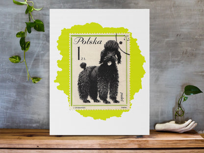 Poodle StampArt Canvas